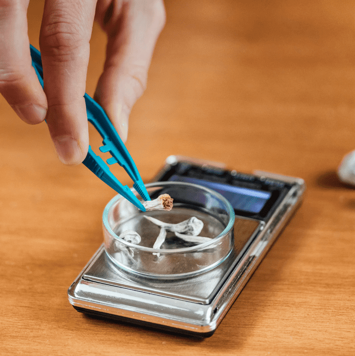 Use a scale to weigh your magic mushrooms