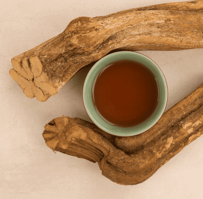 Ayahuasca is a brew or tea made from vines and a specific leaf